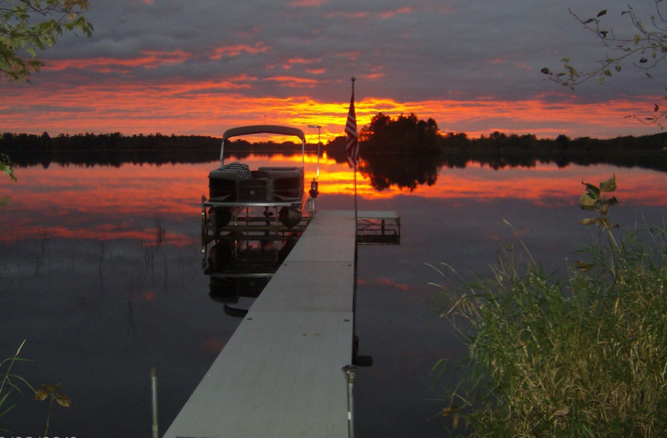 Are Dogs Allowed At Gun Lake
